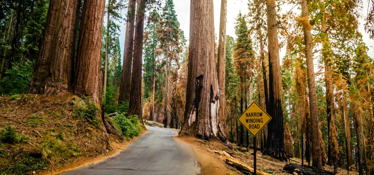 Sequoia National Park