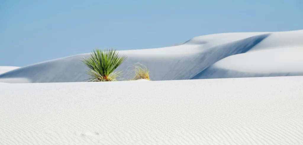 Sand dunes in the White Sands National Park
