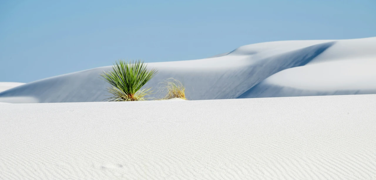 White Sands National Park
