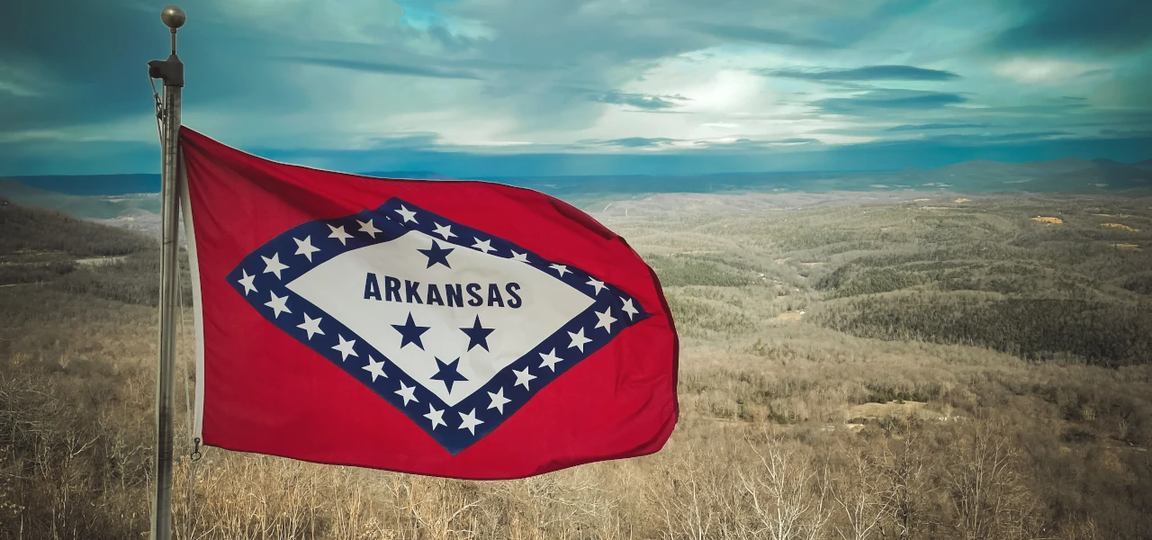 The Arkansas state flag in front of a scenic landscape
