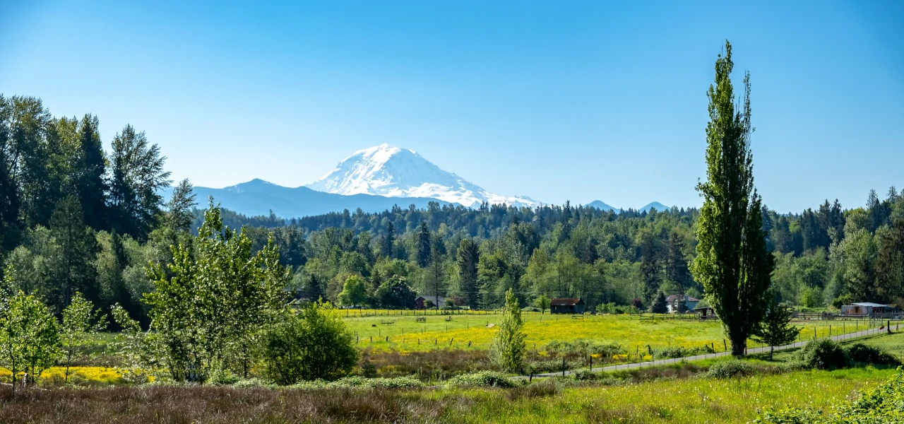 The beautiful natural landscape of the state of Washington, with Mount Rainier in the background